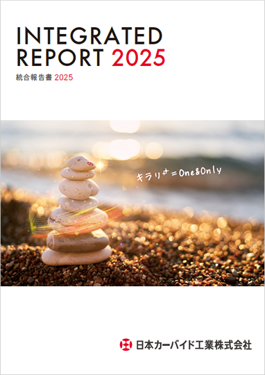 統合報告書2025