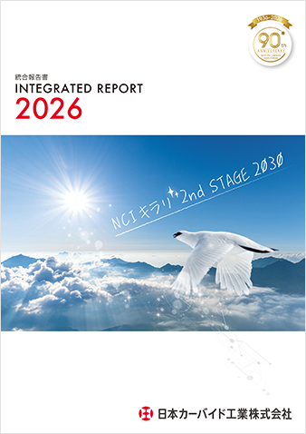 統合報告書206